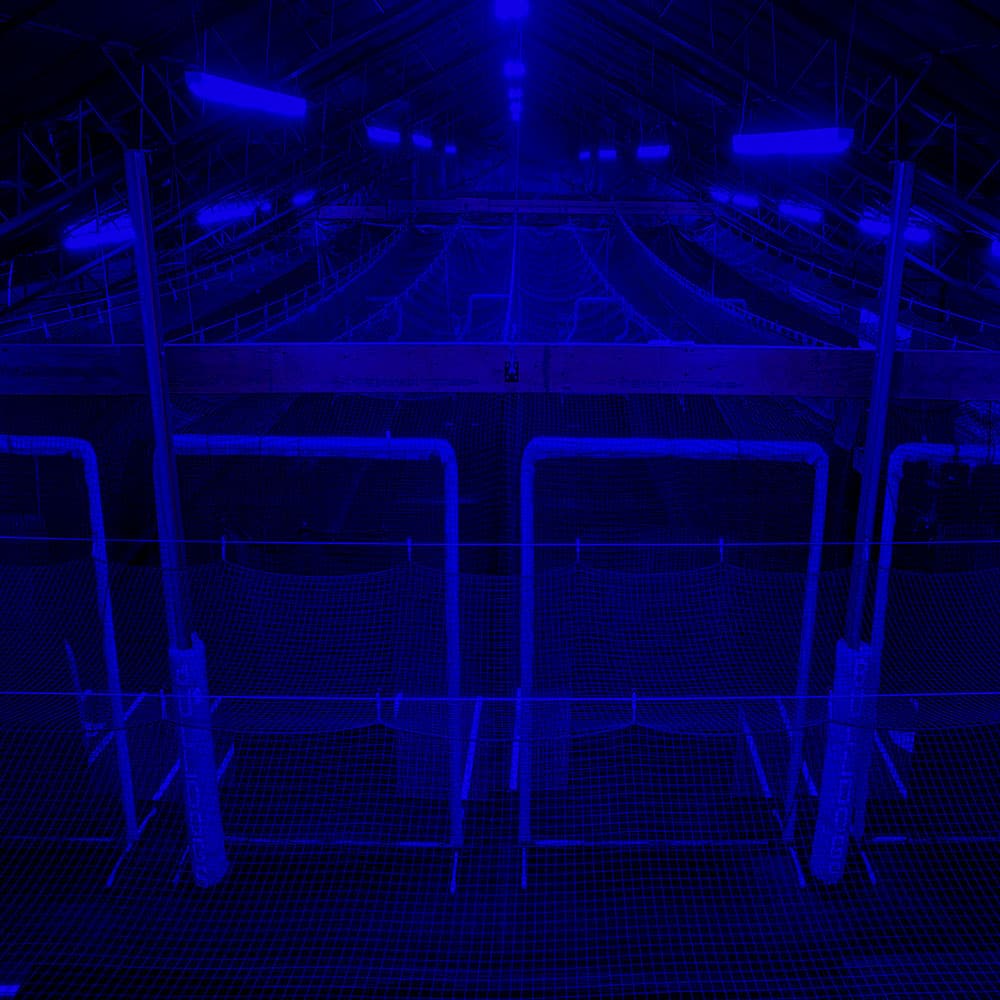 Aerial view of Nukes Warehouse batting lanes